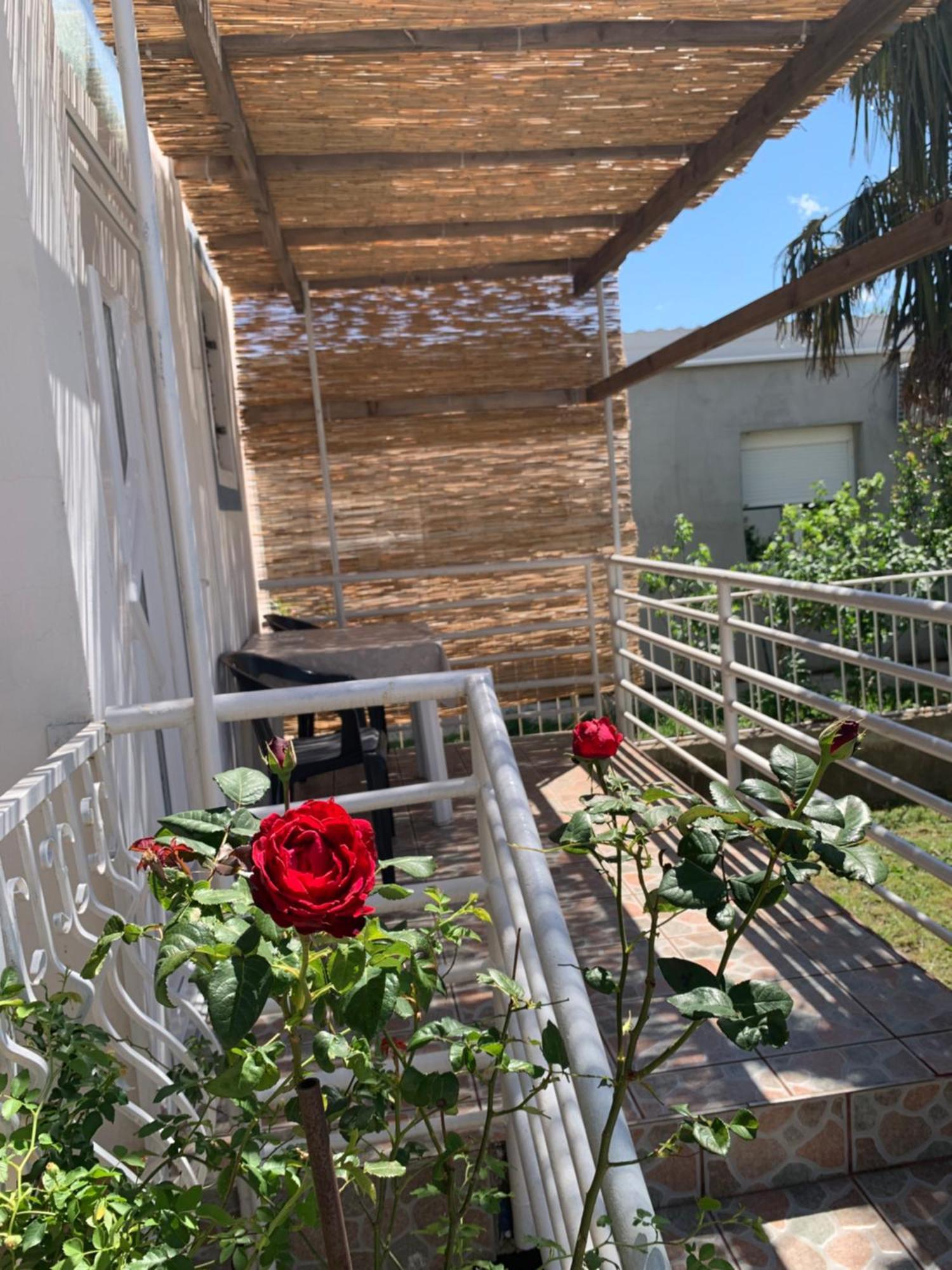 Apartmani Antonela Селине Экстерьер фото
